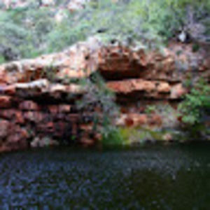 Meet your Posher, Lailah